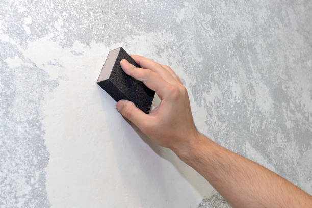 Best Industrial Mold Remediation  in New Berlin, IL