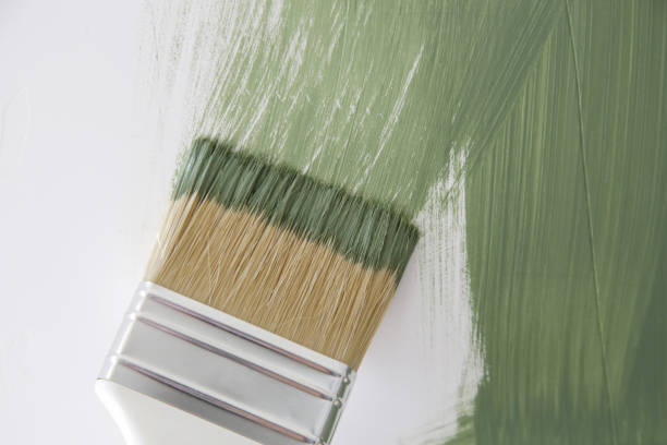  New Berlin, IL Mold Removal Pros