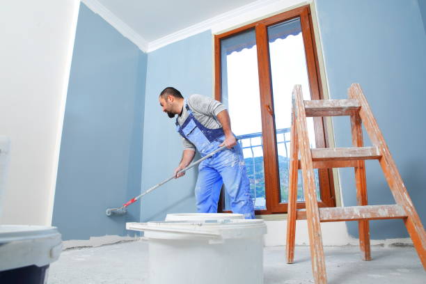 Best Environmental Consulting for Mold Prevention  in New Berlin, IL