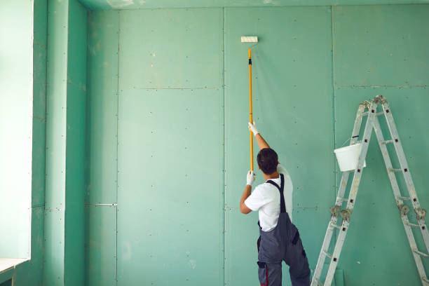 Best Commercial Mold Inspection  in New Berlin, IL