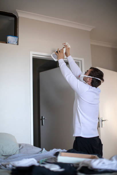 Best Black Mold Removal  in New Berlin, IL