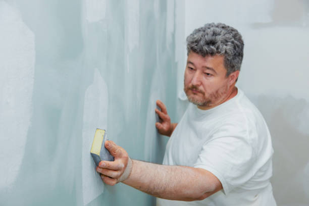Best Post-Construction Mold Inspection  in New Berlin, IL