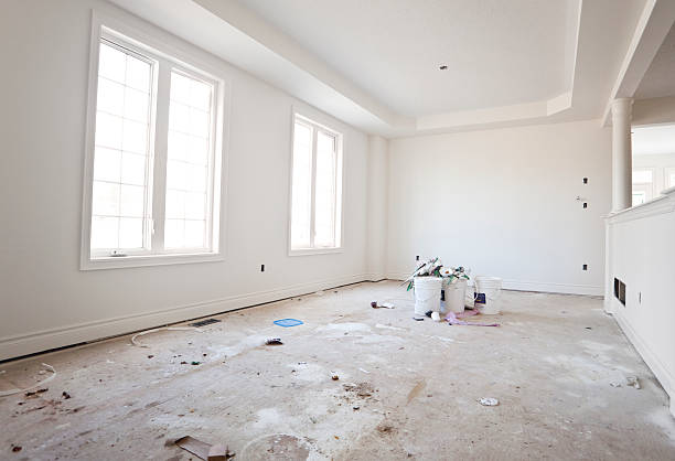 Best Mold Damage Restoration  in New Berlin, IL