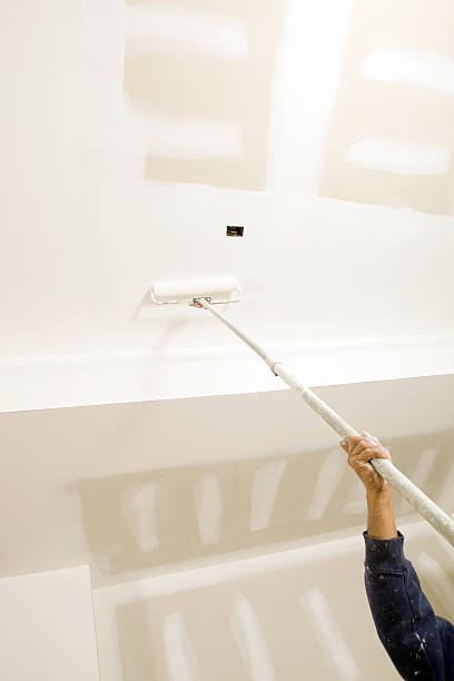 Professional Mold Removal in New Berlin, IL