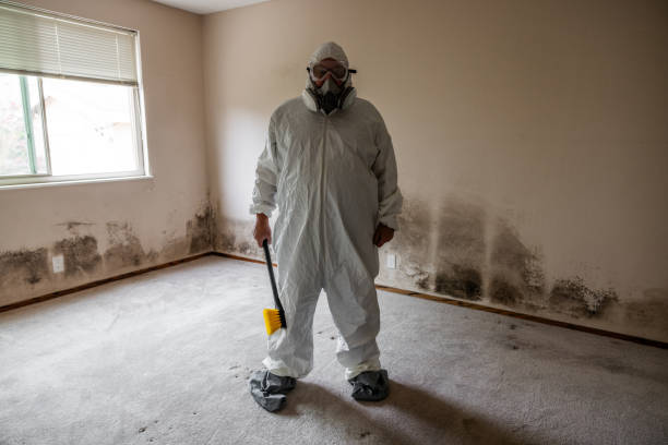 Best Asbestos and Lead Testing During Mold Inspection  in New Berlin, IL