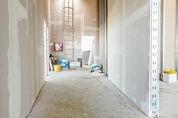 Best Water Damage & Mold Remediation  in New Berlin, IL