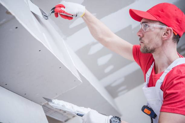 Best Forensic Mold Investigation  in New Berlin, IL